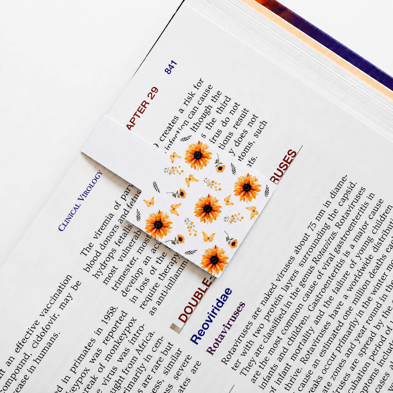 Cute Magnetic Bookmarks Set of 5 | Page Markers for Book Lovers | RRTNOW - RRTNOW
