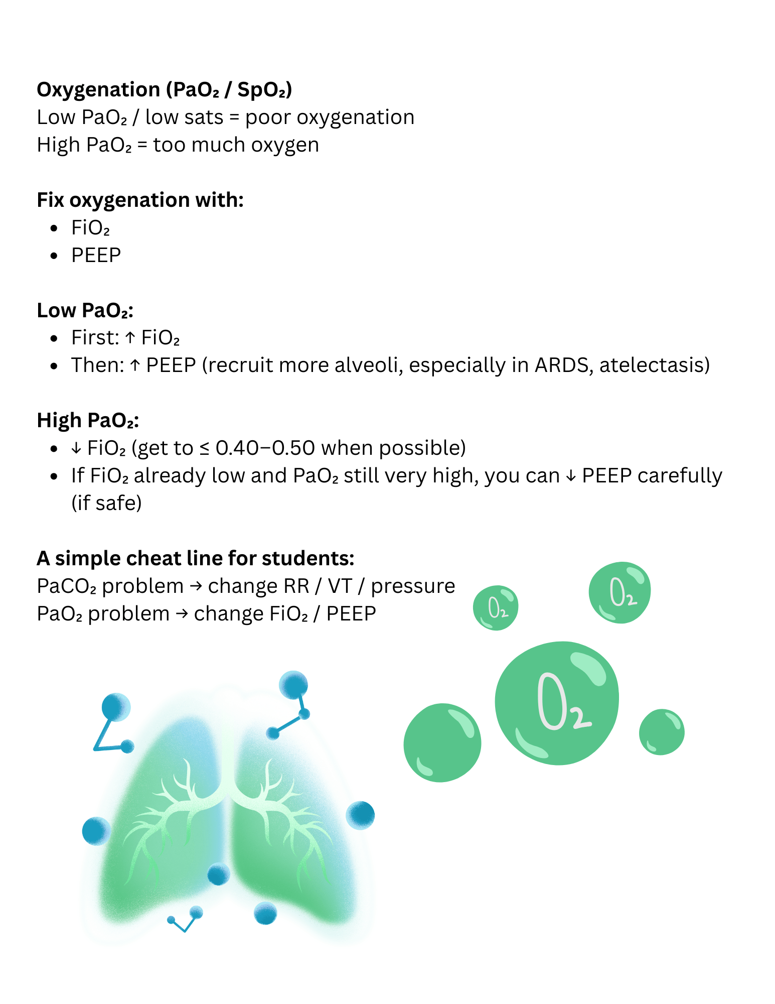 Mechanical Ventilation Study Guide for RT Students | ABG Interpretation, Vent Changes & Troubleshooting - RRTNOW