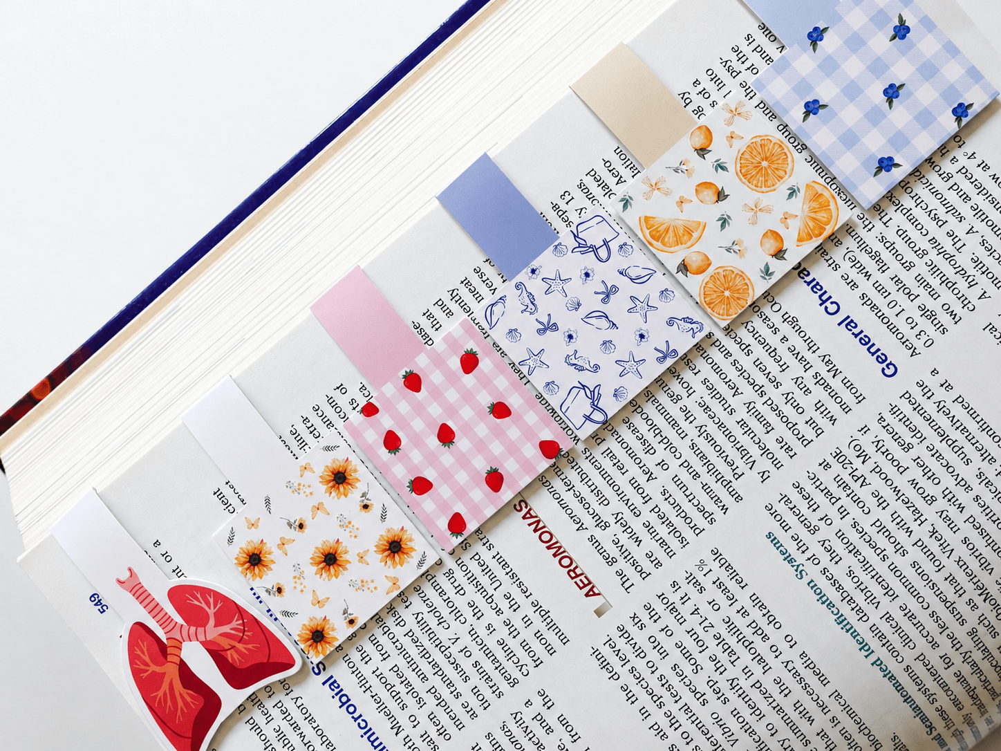 Cute Magnetic Bookmarks Set of 5 | Page Markers for Book Lovers | RRTNOW - RRTNOW