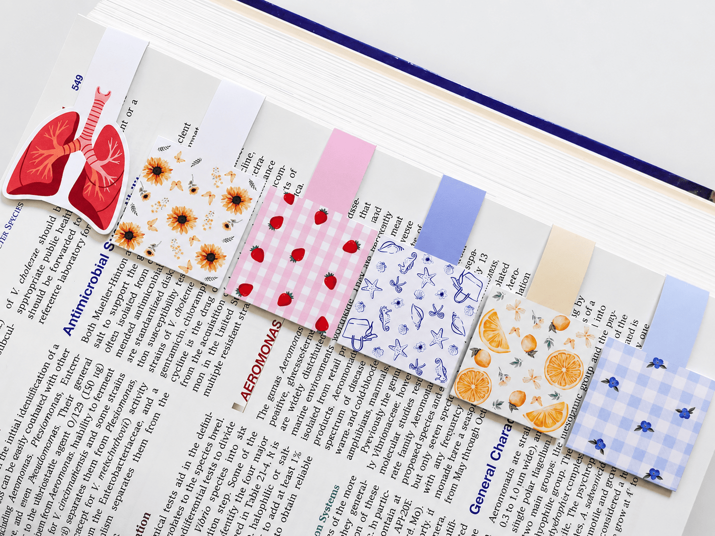 Cute Magnetic Bookmarks Set of 5 | Page Markers for Book Lovers | RRTNOW - RRTNOW