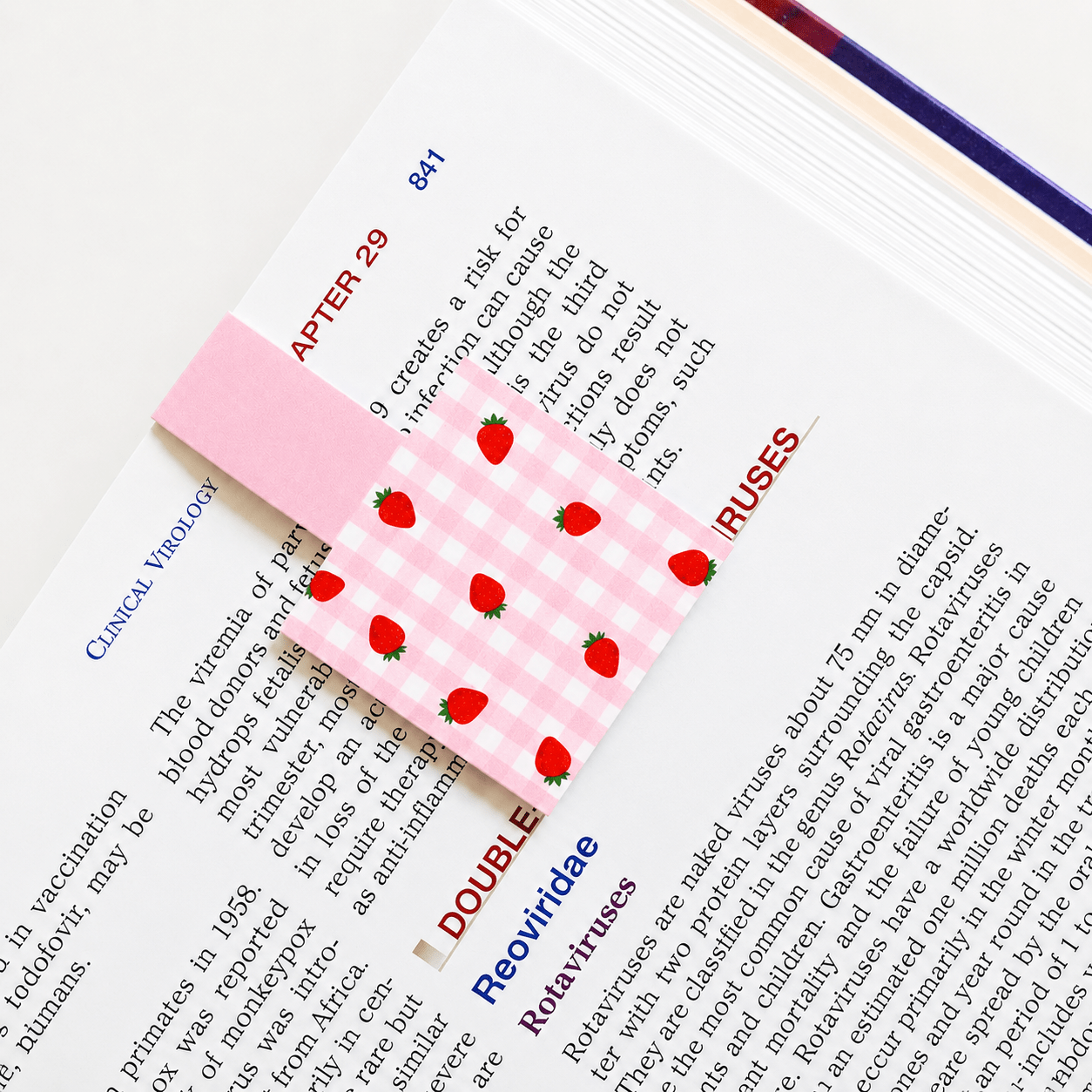 Cute Magnetic Bookmarks Set of 5 | Page Markers for Book Lovers | RRTNOW - RRTNOW