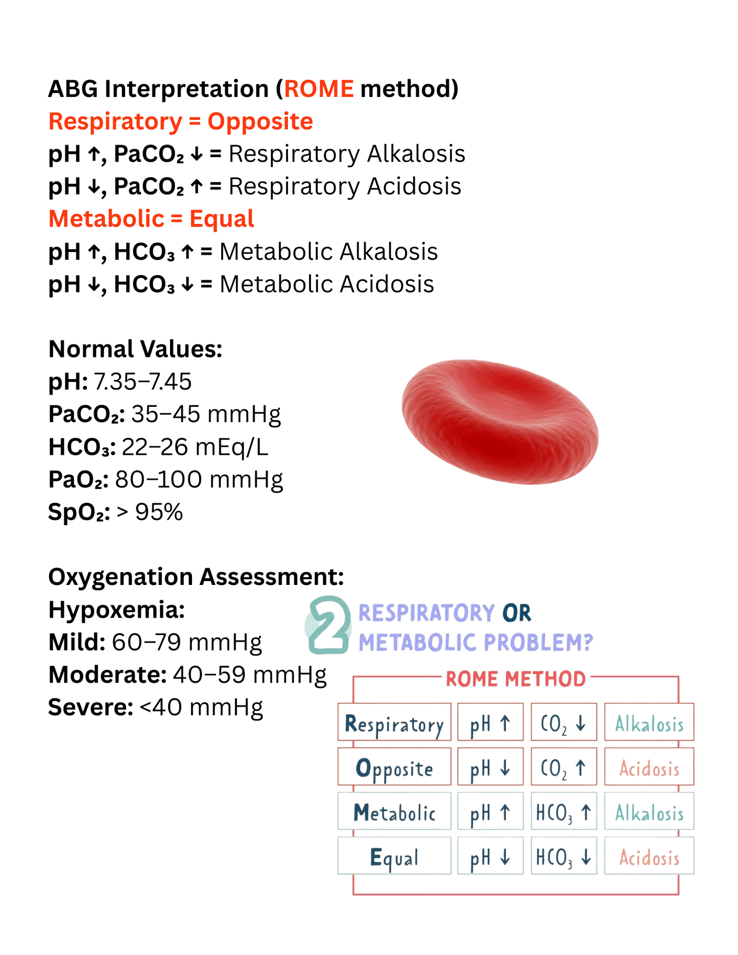 ABG Interpretation Study Guide for Respiratory Therapy Students | RRTNOW Exam Prep - RRTNOW