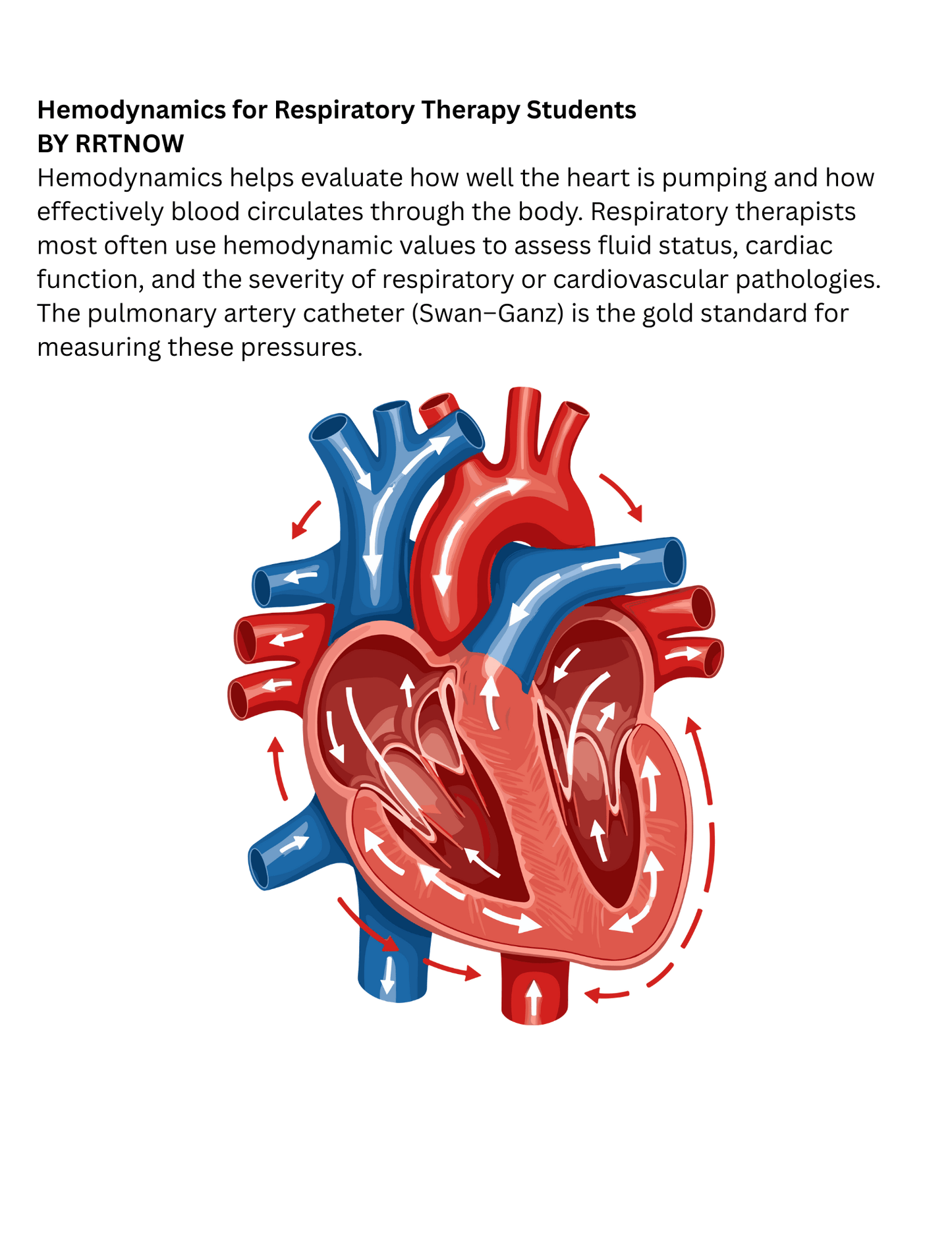 Hemodynamics Study Guide for Respiratory Therapy Students | RRTNOW Exam Prep - RRTNOW