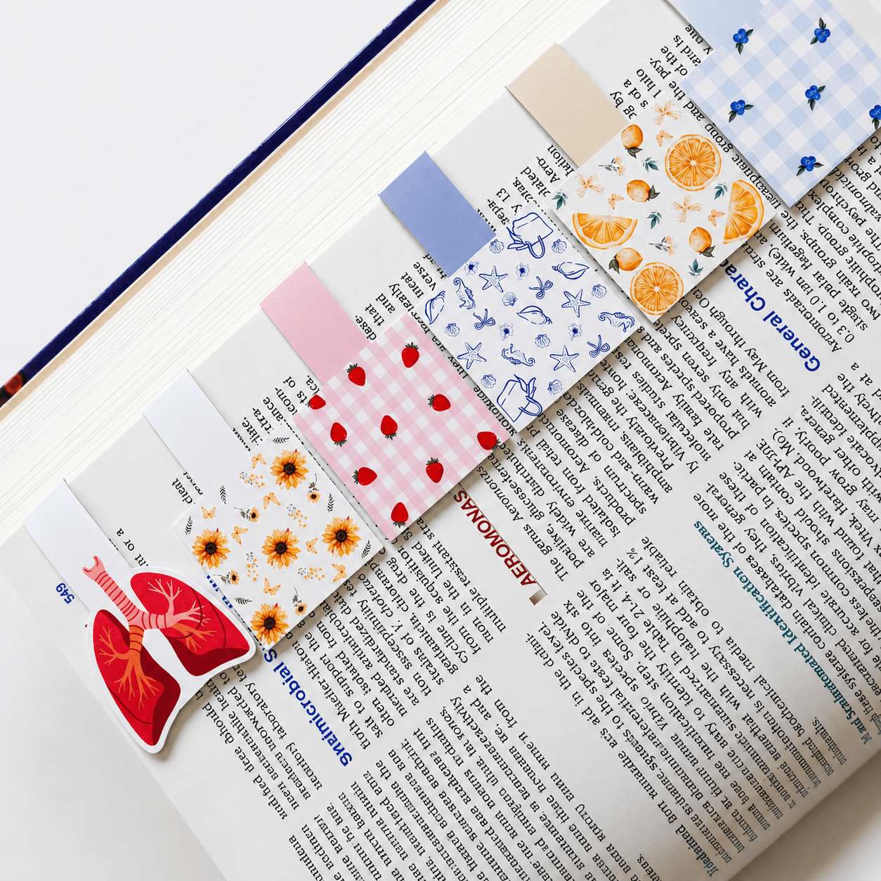 Cute Magnetic Bookmarks Set of 5 | Page Markers for Book Lovers | RRTNOW - RRTNOW