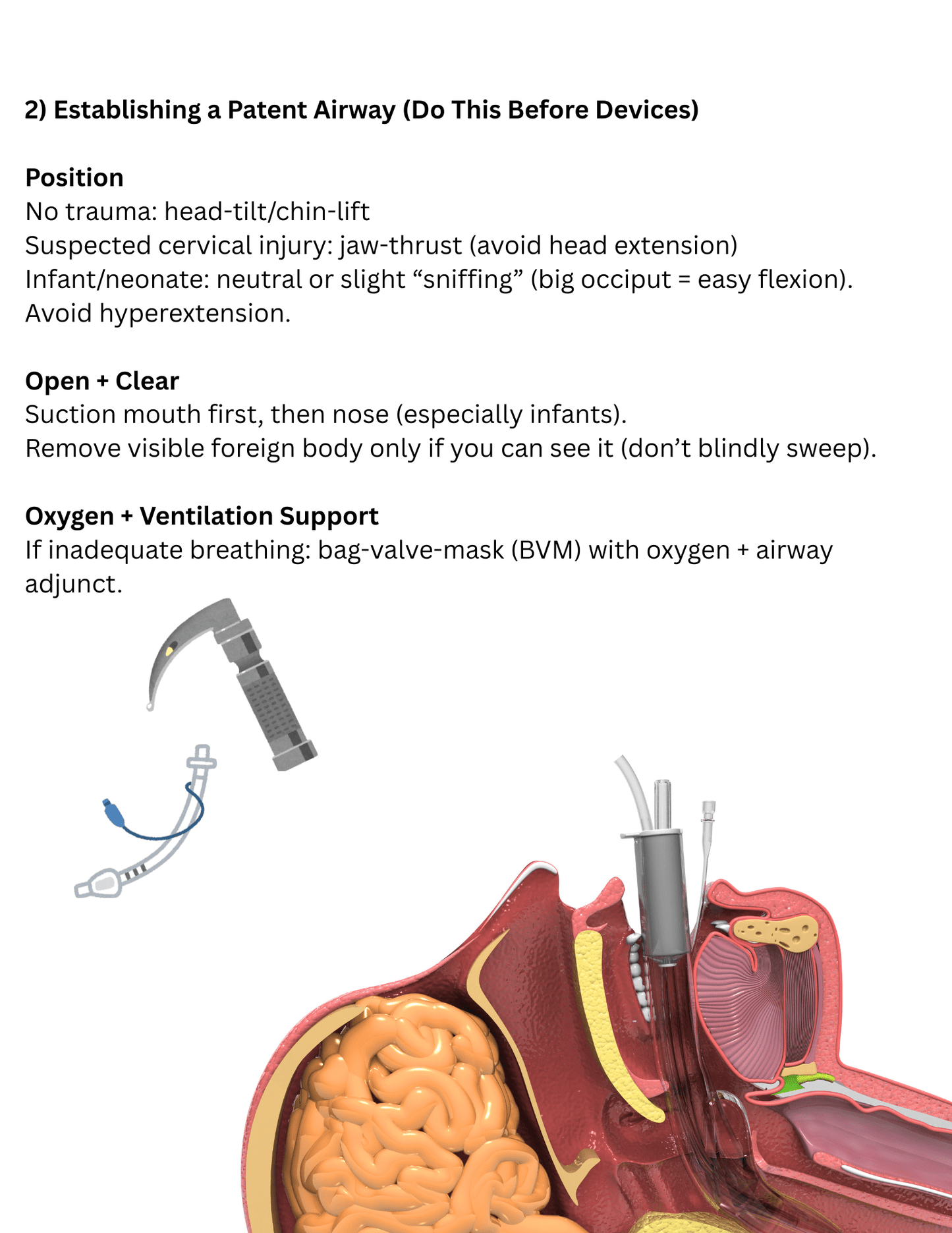 Airway Management Study Guide For RT Students | Adult, Peds & Neonatal - RRTNOW