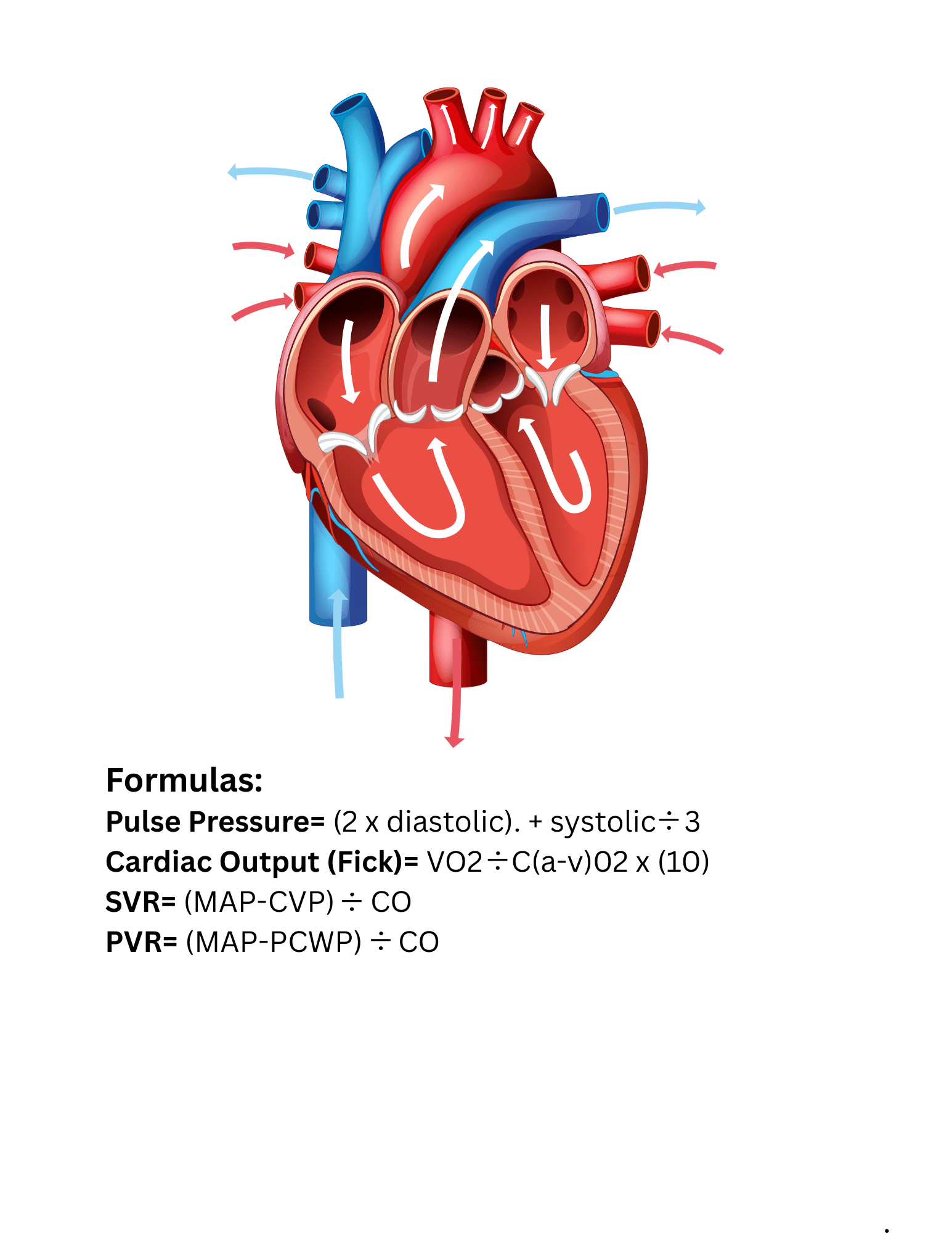 Hemodynamics Study Guide for Respiratory Therapy Students | RRTNOW Exam Prep - RRTNOW