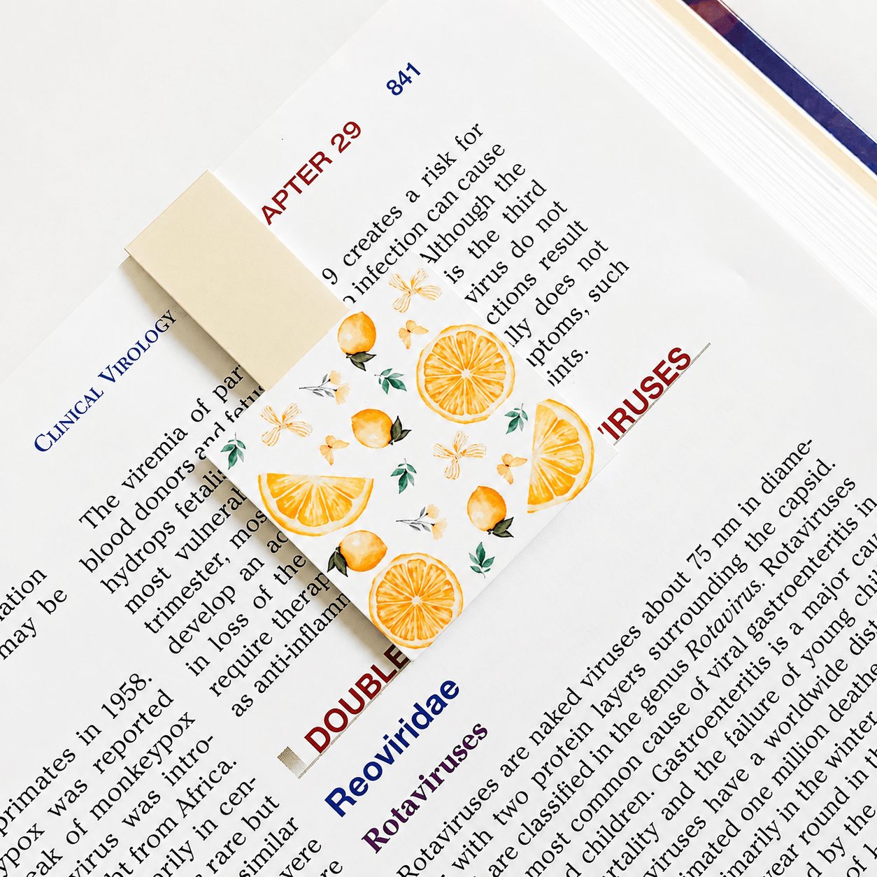 Cute Magnetic Bookmarks Set of 5 | Page Markers for Book Lovers | RRTNOW - RRTNOW