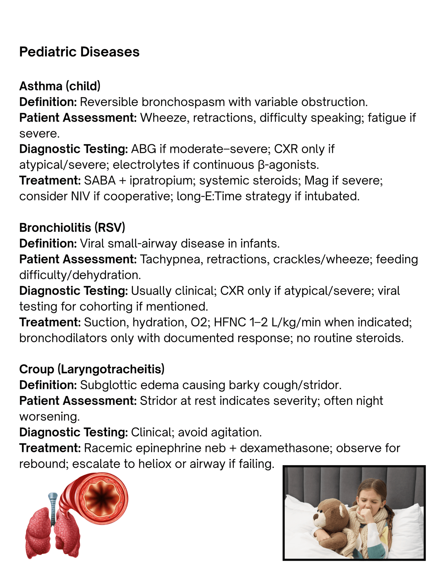 NBRC CSE Clinical Simulation Exam Playbook + Practice Exam | Adult Pediatric Neonatal - RRTNOW