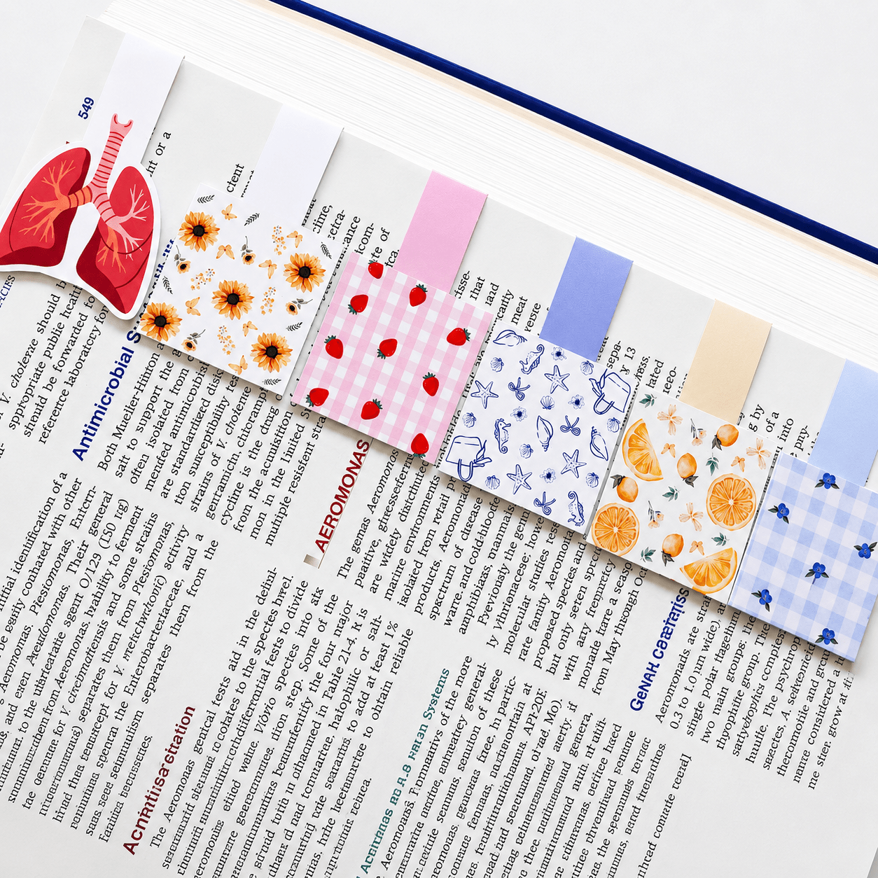 Cute Magnetic Bookmarks Set of 5 | Page Markers for Book Lovers | RRTNOW - RRTNOW