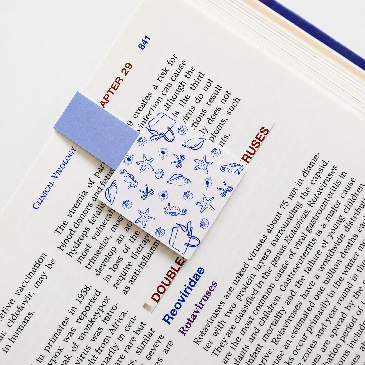 Cute Magnetic Bookmarks Set of 5 | Page Markers for Book Lovers | RRTNOW - RRTNOW