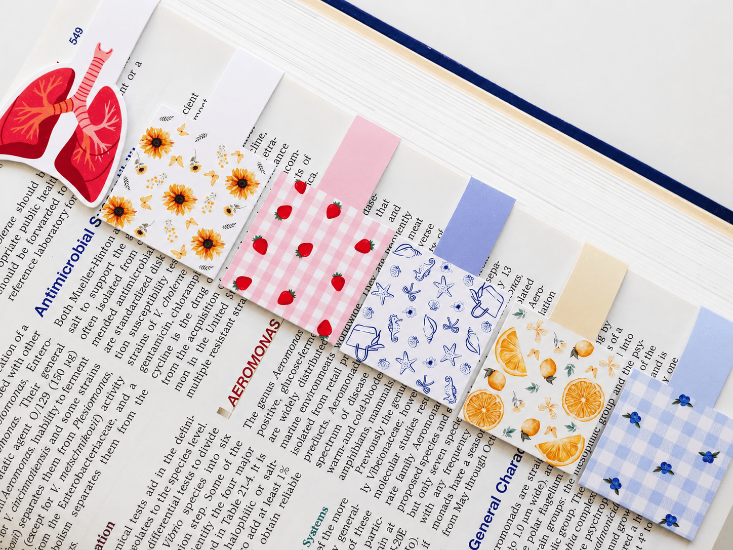 Cute Magnetic Bookmarks Set of 5 | Page Markers for Book Lovers | RRTNOW - RRTNOW