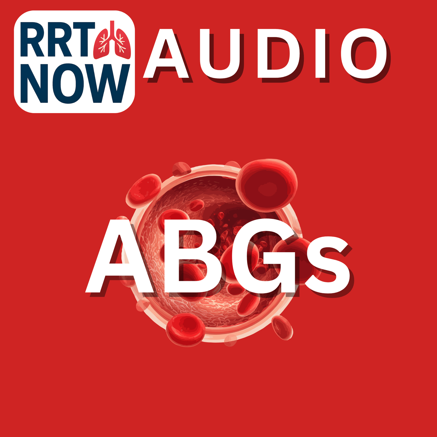 ABG Study Guide + AUDIO for NBRC Exam | RRTNOW - RRTNOW
