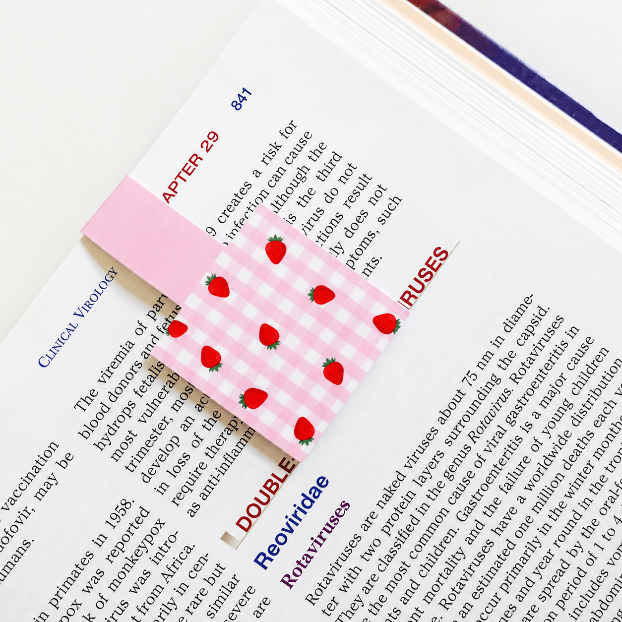 Cute Magnetic Bookmarks Set of 5 | Page Markers for Book Lovers | RRTNOW - RRTNOW
