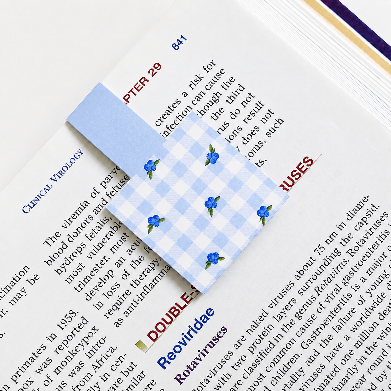Cute Magnetic Bookmarks Set of 5 | Page Markers for Book Lovers | RRTNOW - RRTNOW