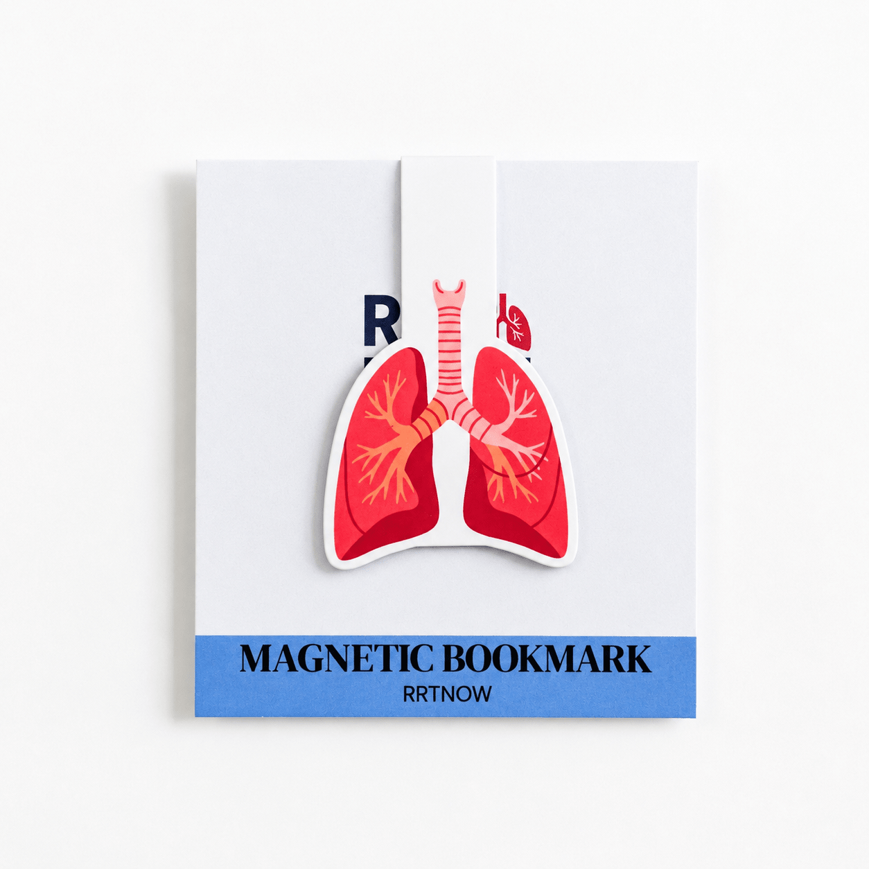 Cute Magnetic Bookmarks Set of 5 | Page Markers for Book Lovers | RRTNOW - RRTNOW