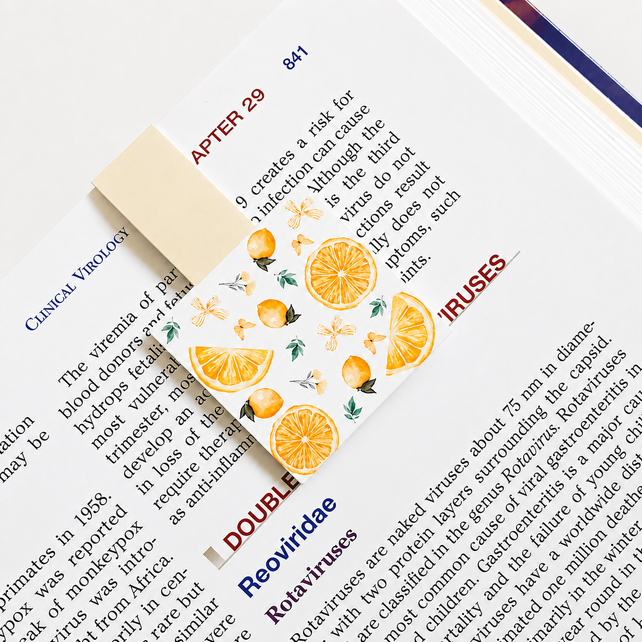 Cute Magnetic Bookmarks Set of 5 | Page Markers for Book Lovers | RRTNOW - RRTNOW