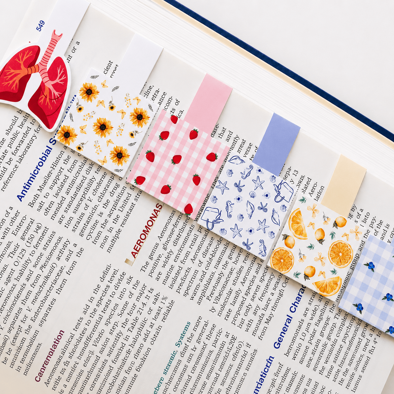 Cute Magnetic Bookmarks Set of 5 | Page Markers for Book Lovers | RRTNOW - RRTNOW
