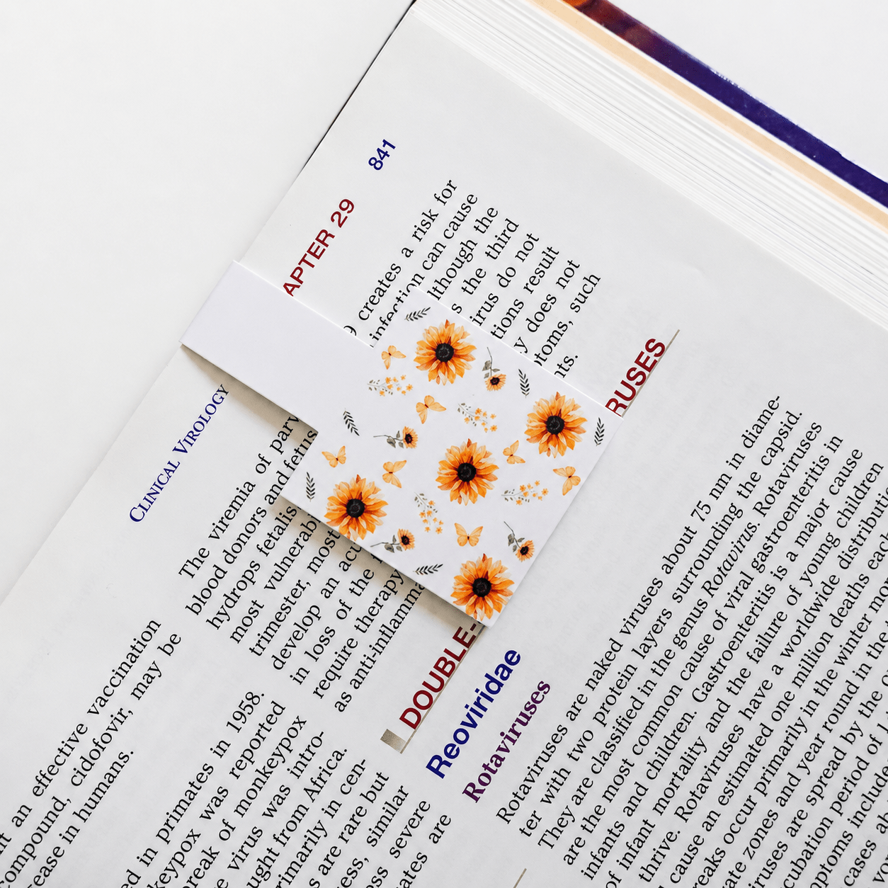 Cute Magnetic Bookmarks Set of 5 | Page Markers for Book Lovers | RRTNOW - RRTNOW