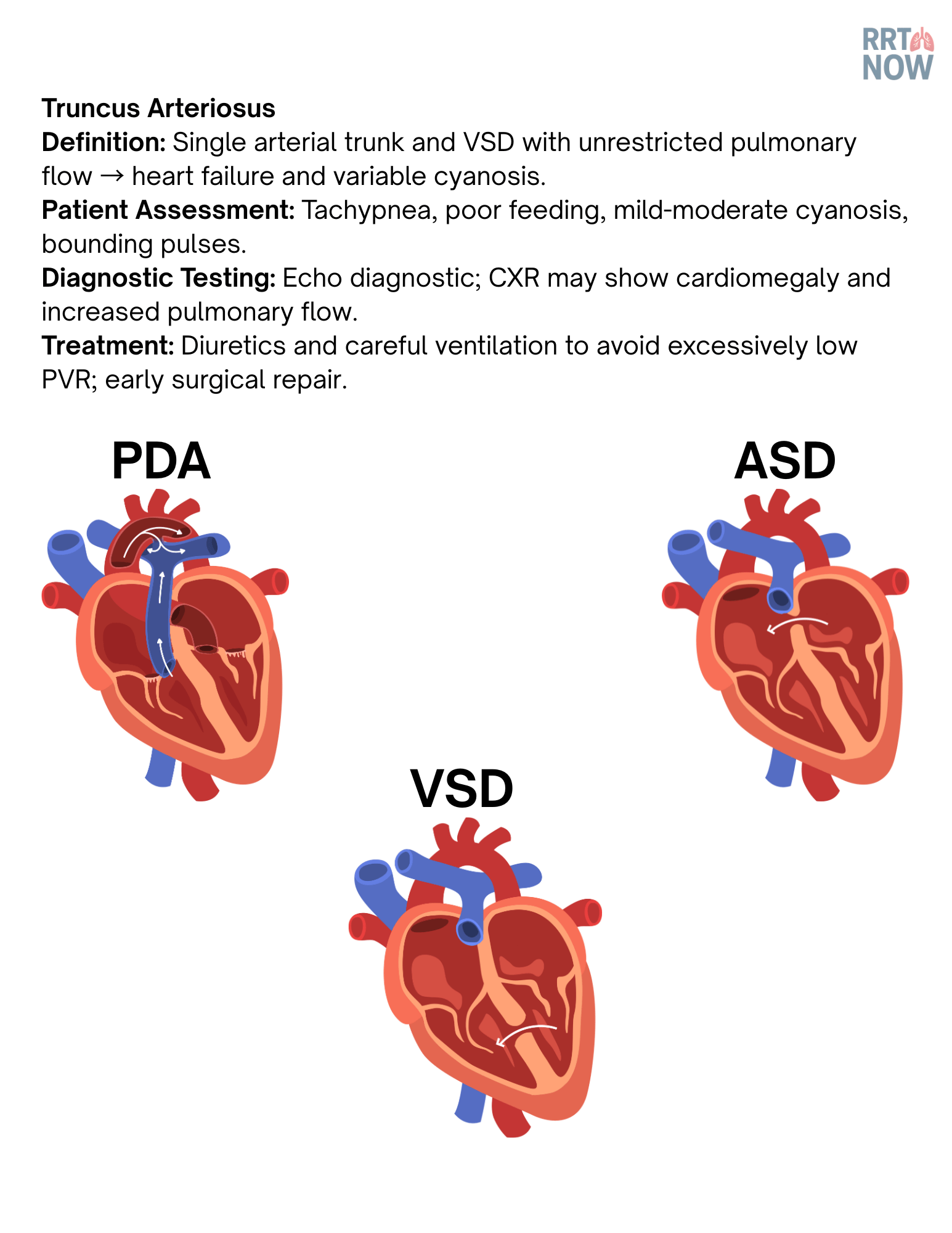NBRC CSE Clinical Simulation Exam Playbook + Practice Exam | Adult Pediatric Neonatal - RRTNOW