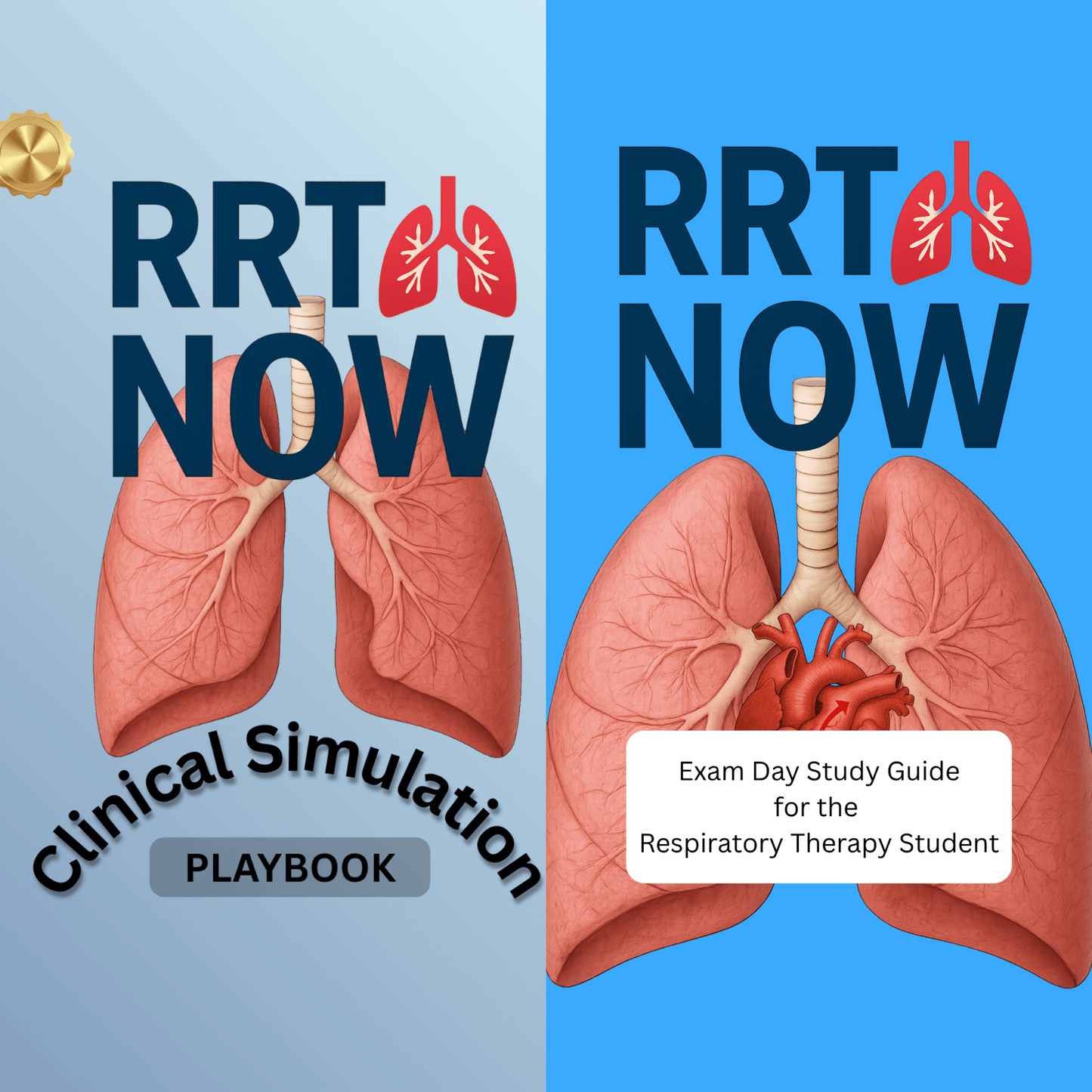 NBRC CSE Clinical Simulation Playbook + Study Guide Bundle | 182 Pages | RT Exam Prep - RRTNOW