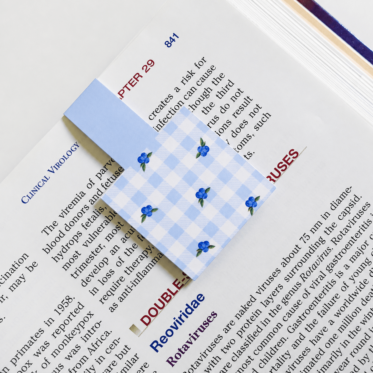 Cute Magnetic Bookmarks Set of 5 | Page Markers for Book Lovers | RRTNOW - RRTNOW