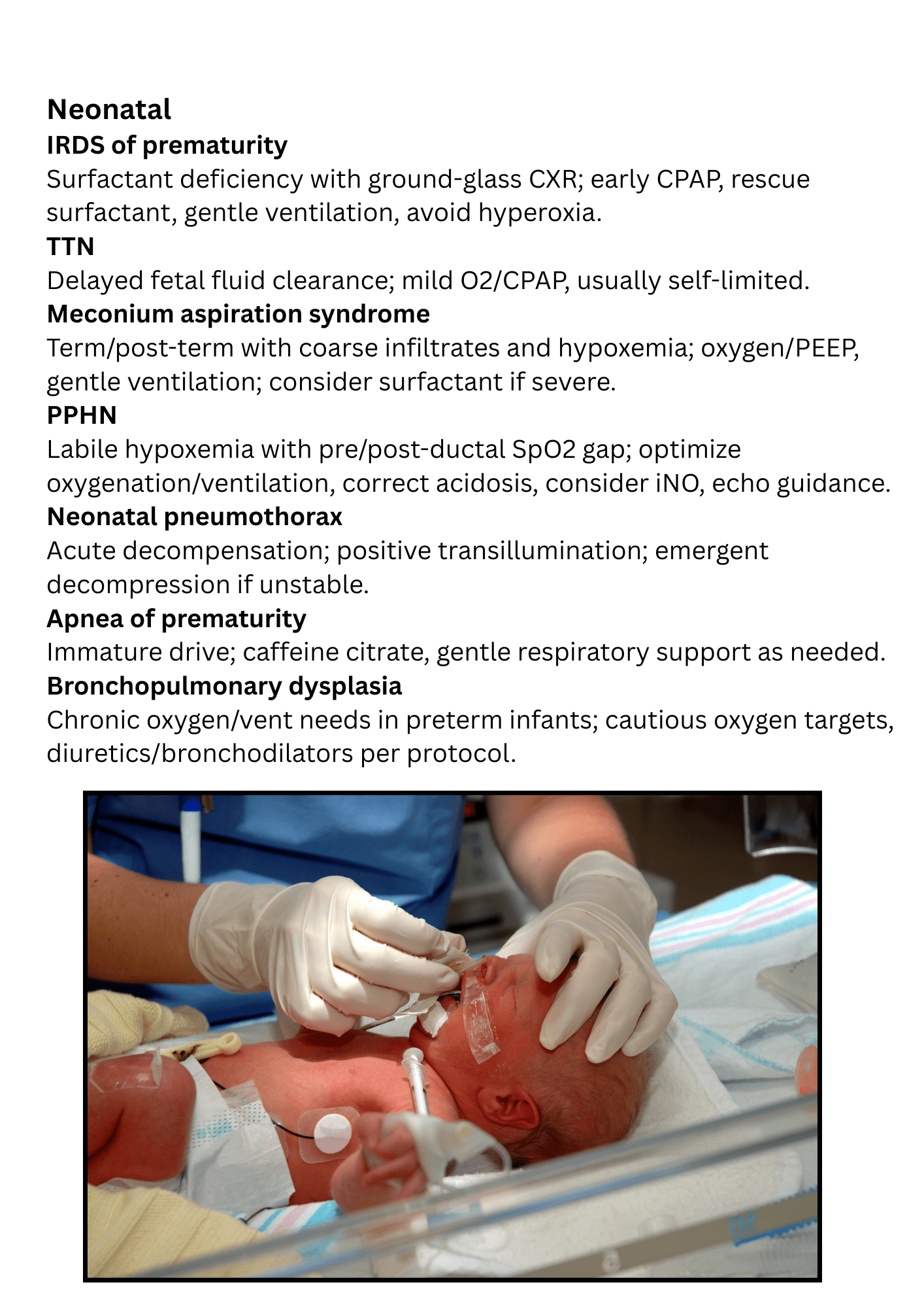 NBRC TMC Exam Study Guide + Free Review Guide | Respiratory Therapy Prep - RRTNOW