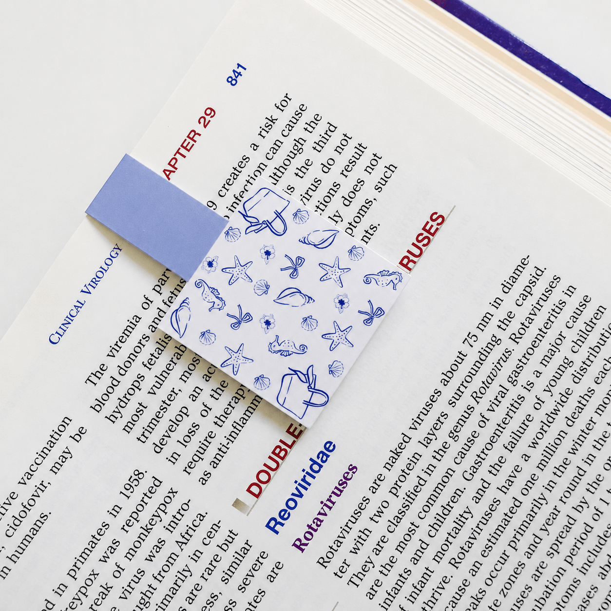 Cute Magnetic Bookmarks Set of 5 | Page Markers for Book Lovers | RRTNOW - RRTNOW