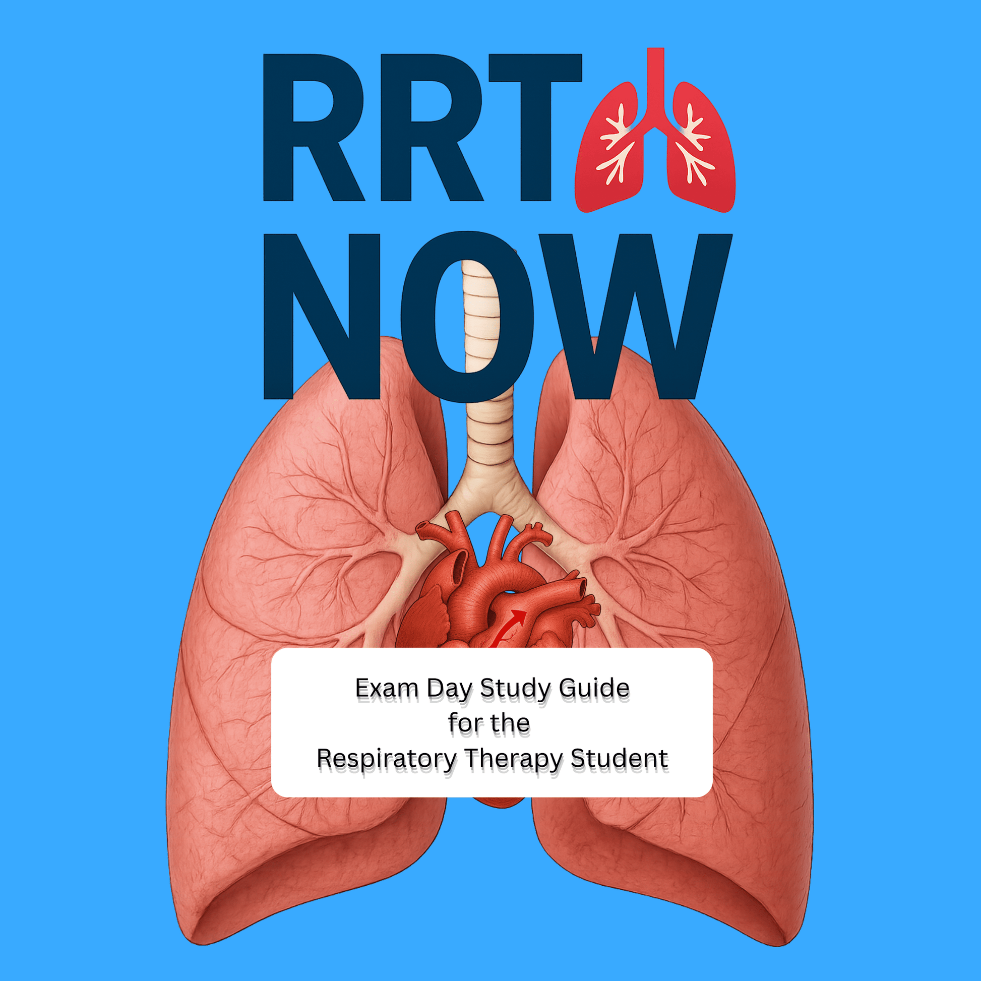 NBRC TMC Exam Study Guide + Free Review Guide | Respiratory Therapy Prep - RRTNOW